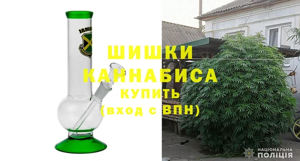 шишки Алексин